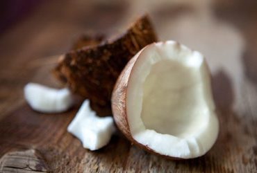 Propriedades e benefícios do coco para a saúde